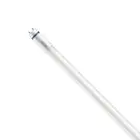 Philips Master LED Putki T8 (EM/Mains) High Output T8 7.6W 1150lm - 840 Kylmä Valkoinen | 60cm - Korvaa 18W